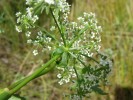 Bild5
