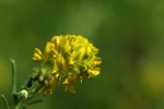 Bild6