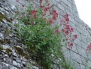 Bild1