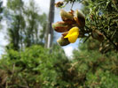 Bild5