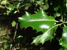 Bild11