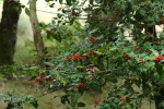 Bild8