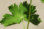 Bild10