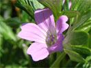 Bild6