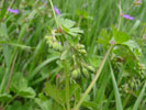 Bild4