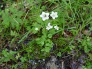 Bild1