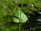 Bild10