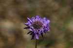 Bild5