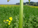 Bild6