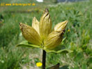 Bild3