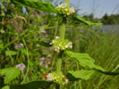 Bild6