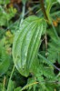 Bild11