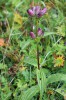 Bild8