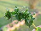 Bild10