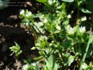 Bild5