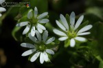 Bild6