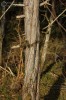 Bild14
