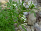 Bild10