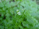 Bild12