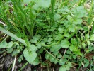 Bild15