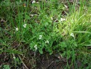 Bild5