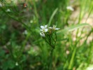Bild8