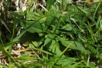 Bild10