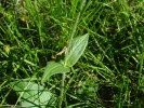 Bild11