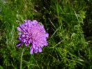 Bild6