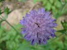 Bild7