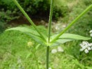 Bild9