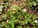 Bild1