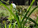 Bild3
