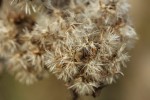 Bild10
