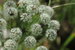 Bild7