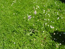 Bild6