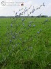 Bild1