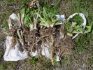 Bild11