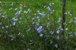 Bild3