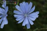 Bild6