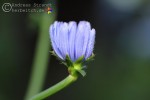 Bild7