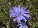 Bild8