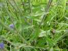 Bild9