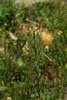 Bild1