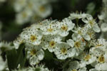 Bild4