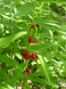 Bild5