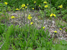 Bild4