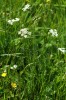 Bild11