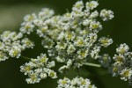 Bild7