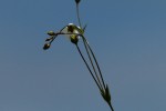 Bild5